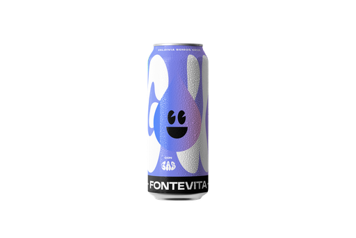 AGUA FONTEVITA CON GAS LATA 473 ML